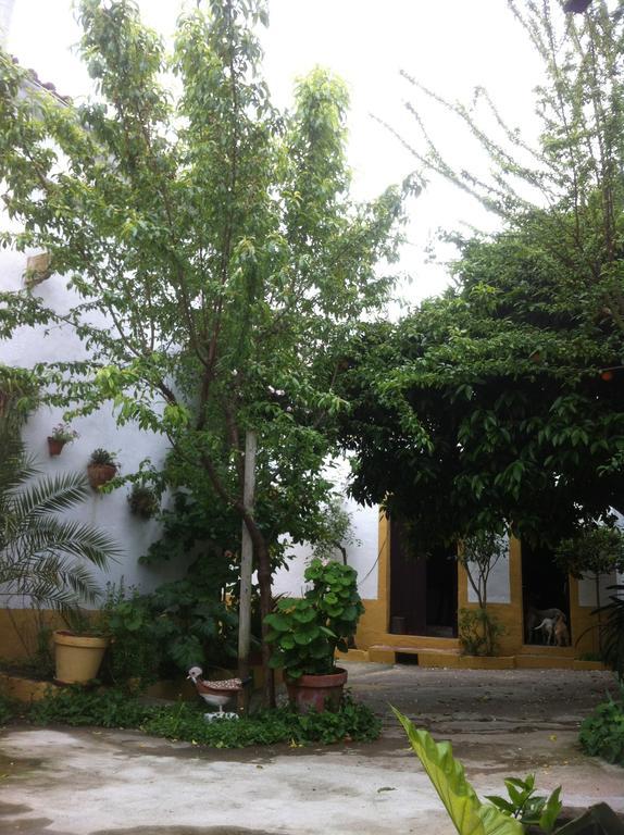Patio Das Flores Ferreira Do Alentejo Extérieur photo