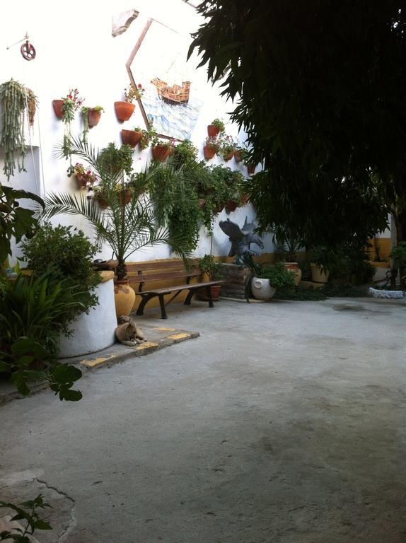 Patio Das Flores Ferreira Do Alentejo Extérieur photo