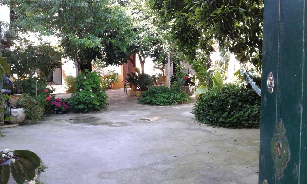 Patio Das Flores Ferreira Do Alentejo Extérieur photo