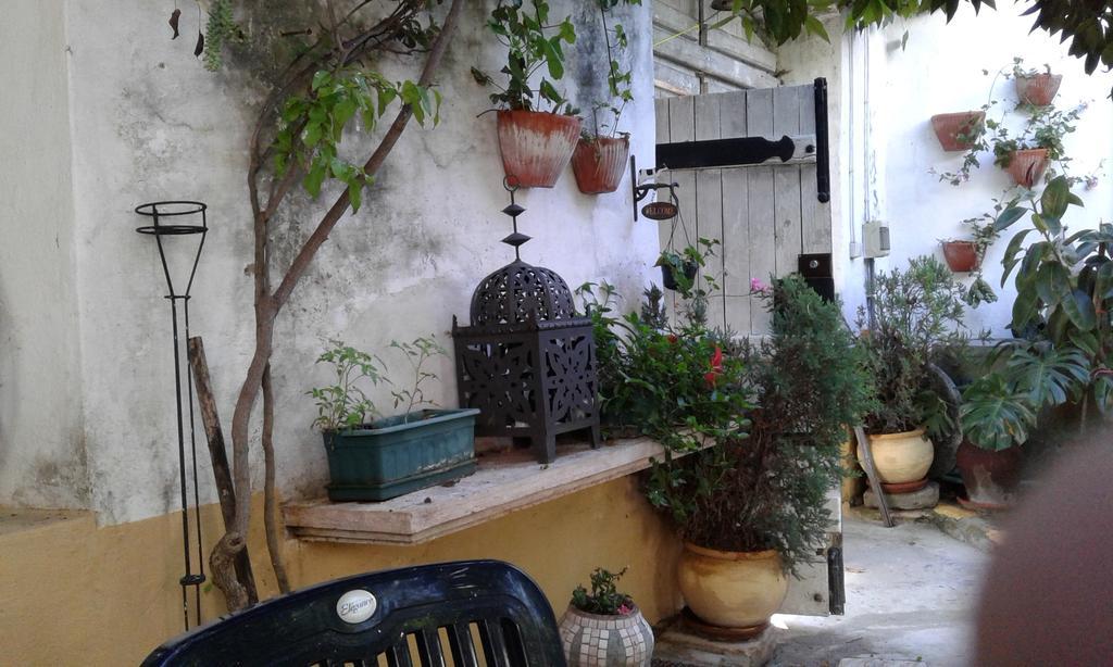 Patio Das Flores Ferreira Do Alentejo Extérieur photo