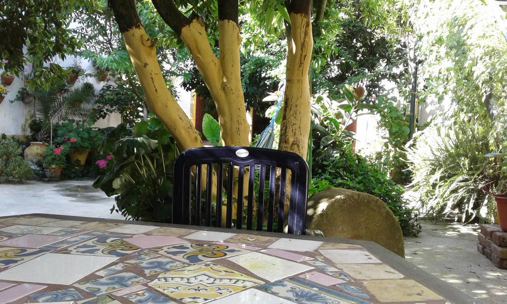 Patio Das Flores Ferreira Do Alentejo Extérieur photo