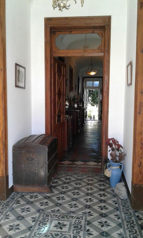 Patio Das Flores Ferreira Do Alentejo Extérieur photo